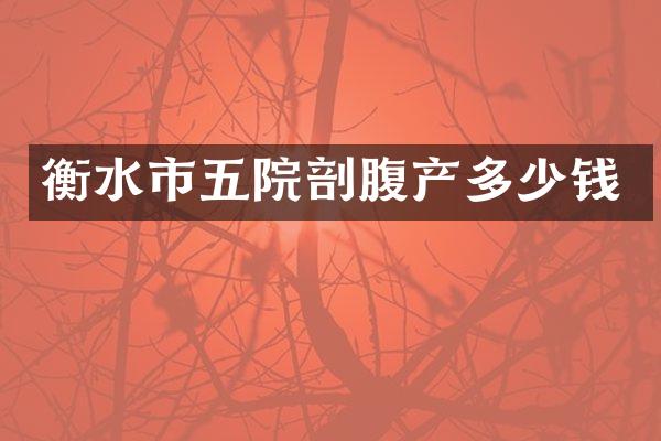 衡水市五院剖腹产多少钱