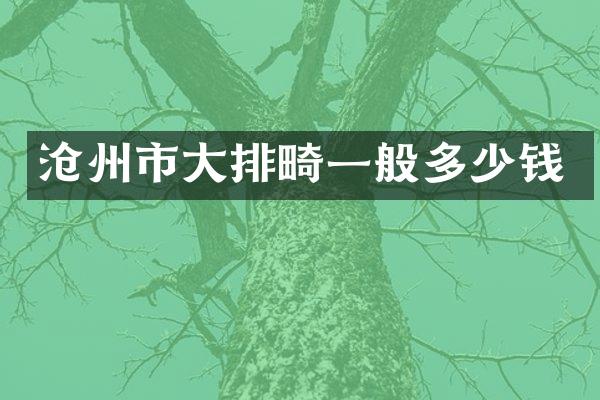 沧州市大排畸一般多少钱