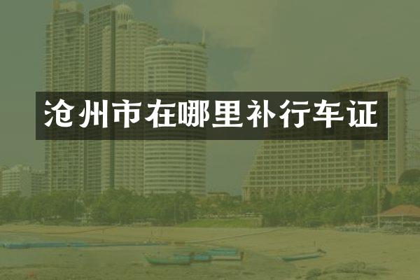 沧州市在哪里补行车证