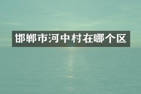 邯郸市河中村在哪个区
