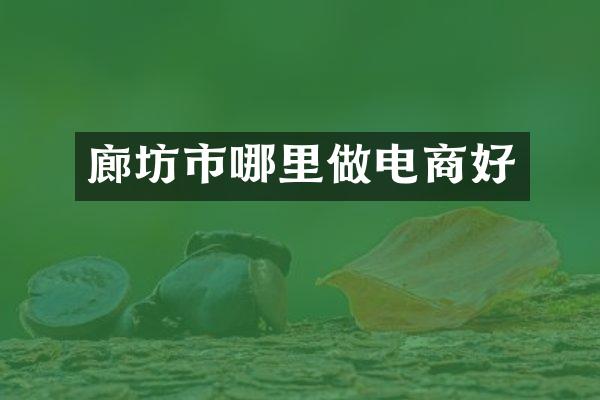 廊坊市哪里做电商好