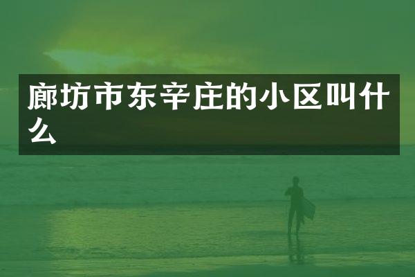 廊坊市东辛庄的小区叫什么