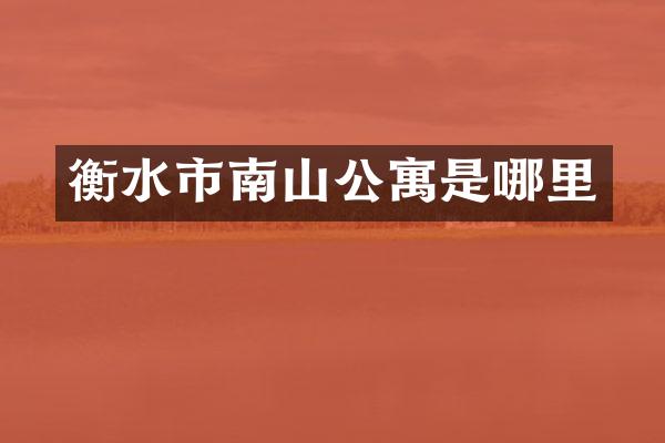 衡水市南山公寓是哪里