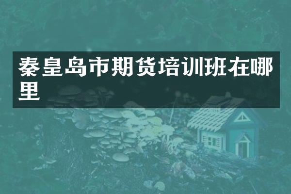 秦皇岛市期货培训班在哪里