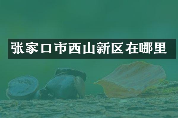 张家口市西山新区在哪里