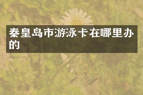 秦皇岛市游泳卡在哪里办的