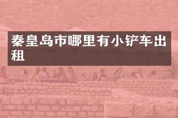 秦皇岛市哪里有小铲车出租