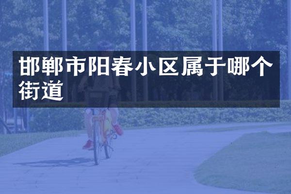 邯郸市阳春小区属于哪个街道