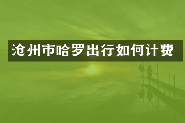 沧州市哈罗出行如何计费