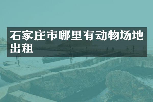 石家庄市哪里有动物场地出租