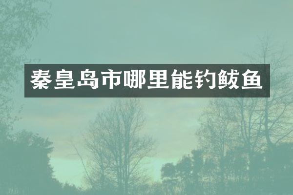 秦皇岛市哪里能钓鲅鱼