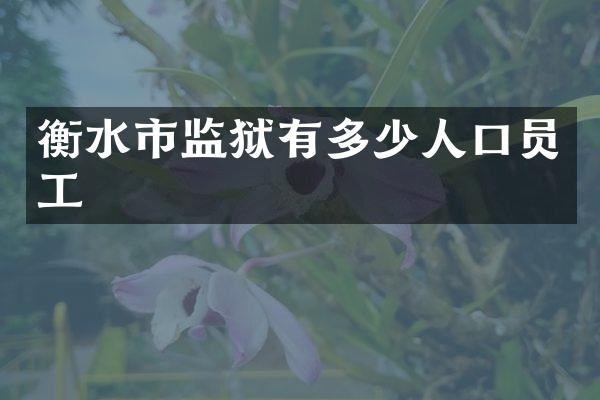 衡水市监狱有多少人口员工