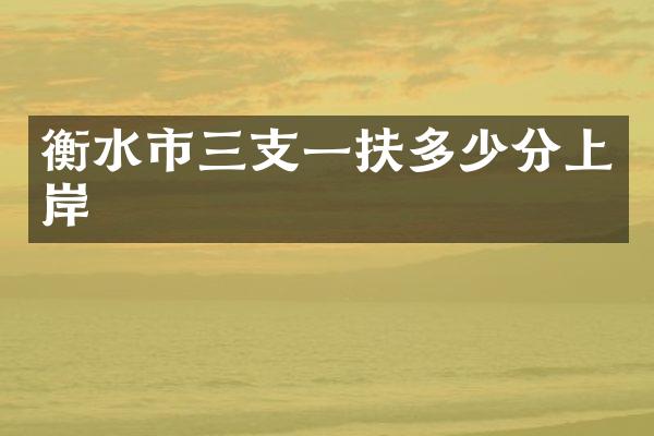 衡水市三支一扶多少分上岸