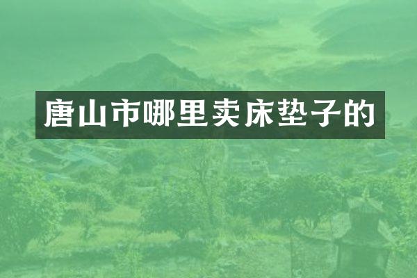 唐山市哪里卖床垫子的