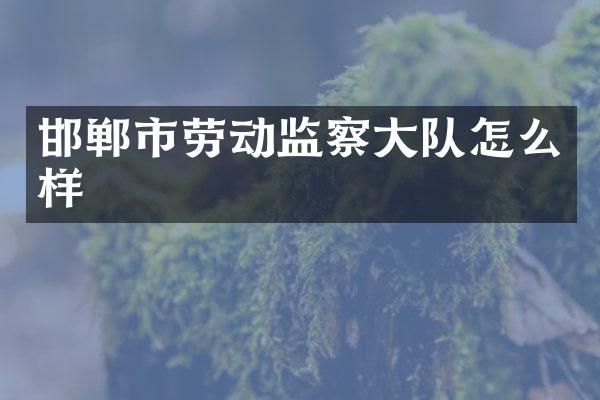 邯郸市劳动监察大队怎么样