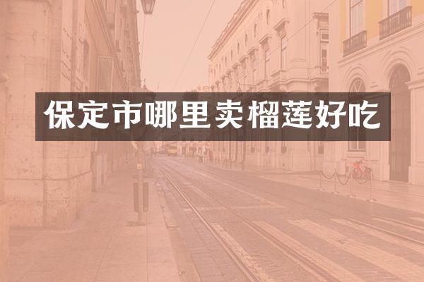 保定市哪里卖榴莲好吃