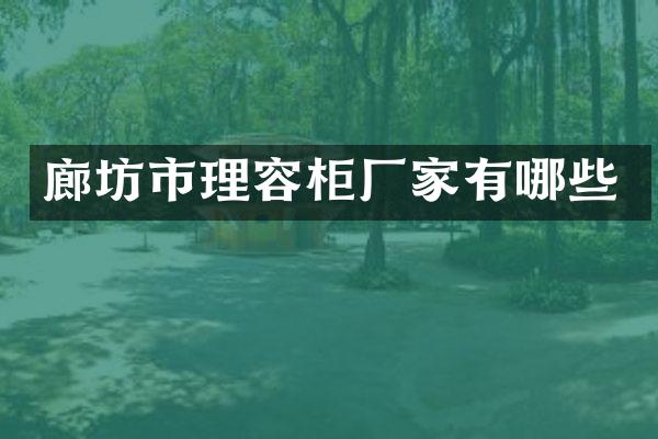 廊坊市理容柜厂家有哪些