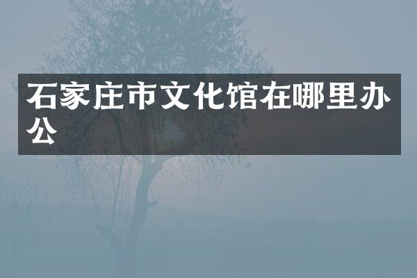石家庄市文化馆在哪里办公