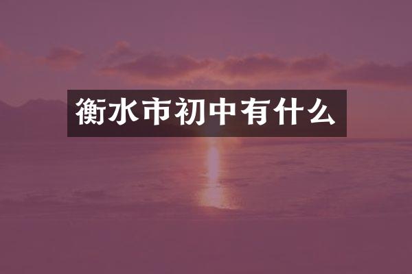 衡水市初中有什么