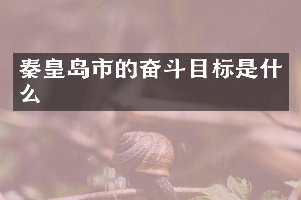 秦皇岛市的奋斗目标是什么