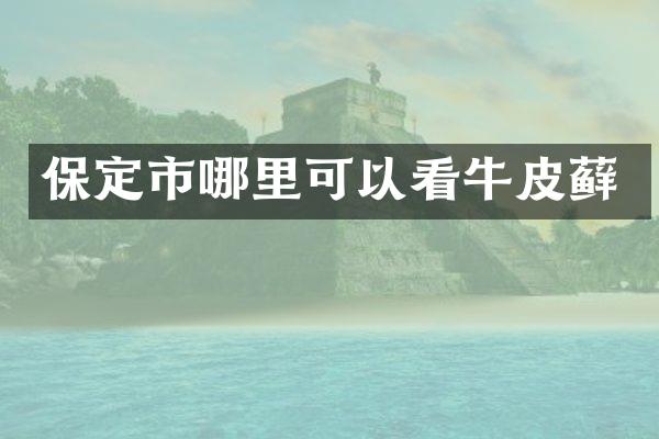 保定市哪里可以看牛皮藓