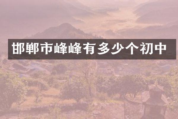 邯郸市峰峰有多少个初中