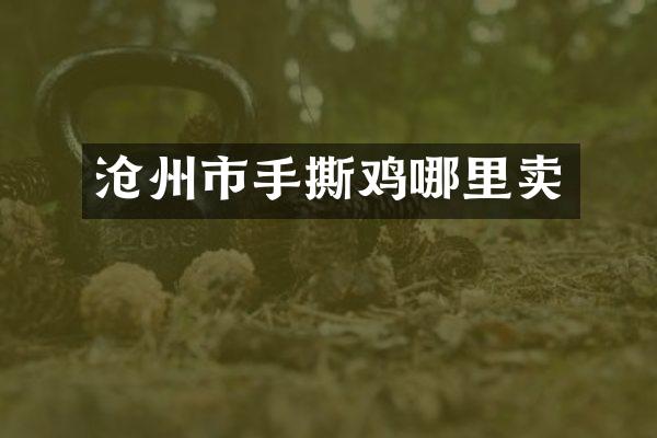 沧州市手撕鸡哪里卖