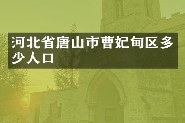 河北省唐山市曹妃甸区多少人口