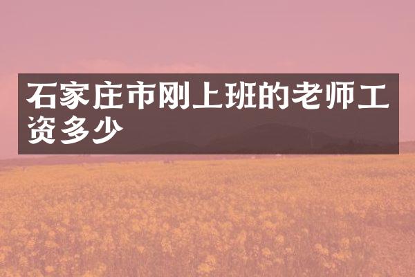 石家庄市刚上班的老师工资多少