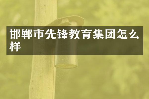 邯郸市先锋教育集团怎么样