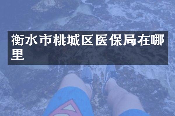 衡水市桃城区医保局在哪里
