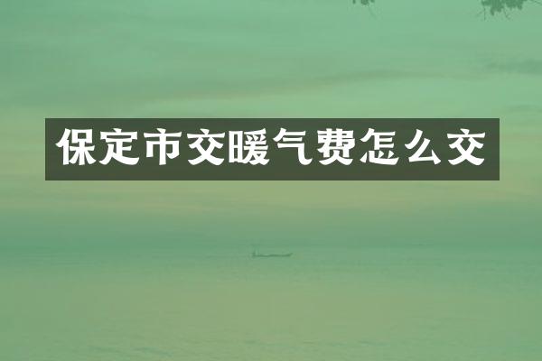 保定市交暖气费怎么交