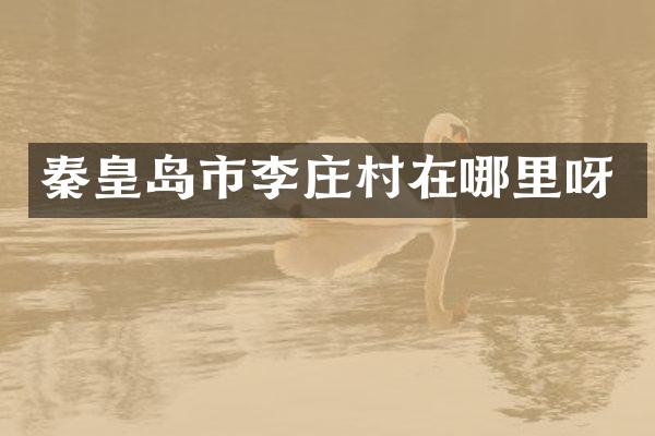 秦皇岛市李庄村在哪里呀