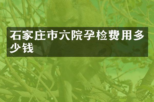 石家庄市六院孕检费用多少钱