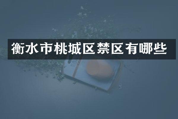 衡水市桃城区禁区有哪些