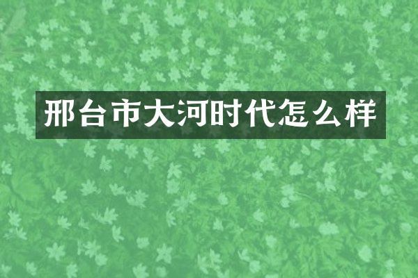 邢台市大河时代怎么样