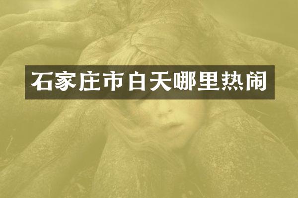 石家庄市白天哪里热闹