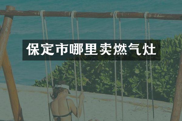 保定市哪里卖燃气灶