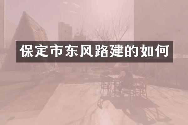 保定市东风路建的如何