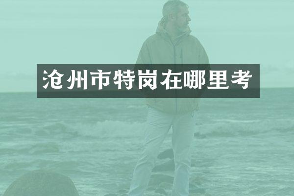 沧州市特岗在哪里考