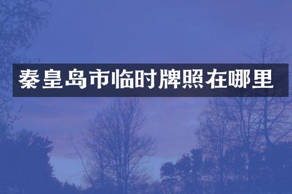 秦皇岛市临时牌照在哪里
