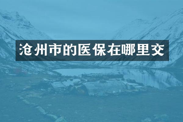 沧州市的医保在哪里交