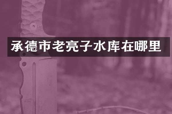 承德市老亮子水库在哪里