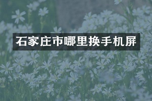 石家庄市哪里换手机屏