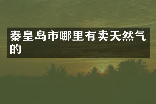 秦皇岛市哪里有卖天然气的