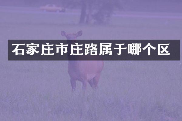 石家庄市庄路属于哪个区