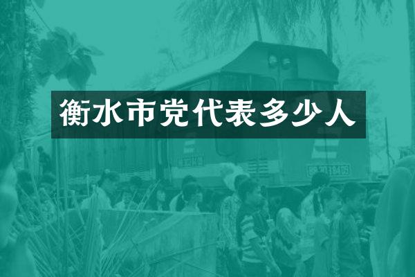 衡水市党代表多少人