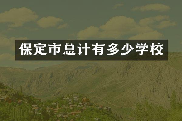 保定市总计有多少学校