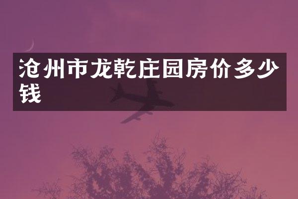 沧州市龙乾庄园房价多少钱