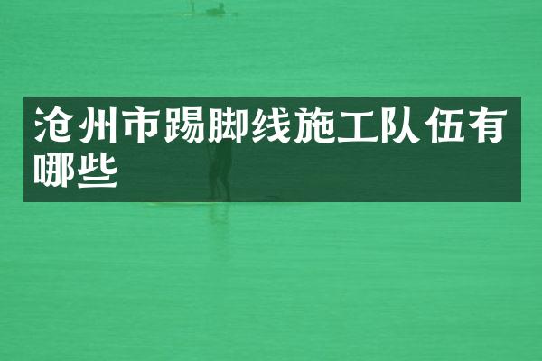 沧州市踢脚线施工队伍有哪些